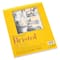 Strathmore® 300 Series Bristol Smooth Pad